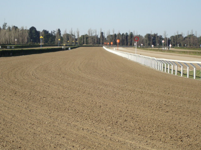 Track construction case study 3