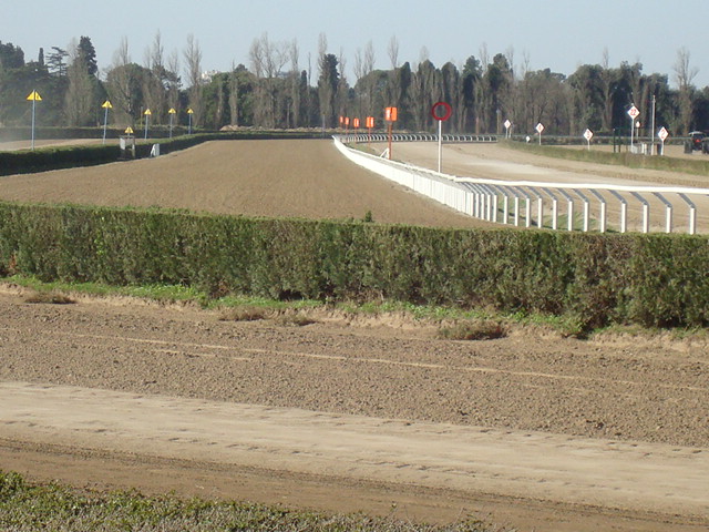 Track construction case study 4