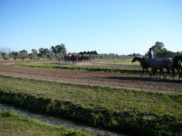 Centauros Polo Club training track